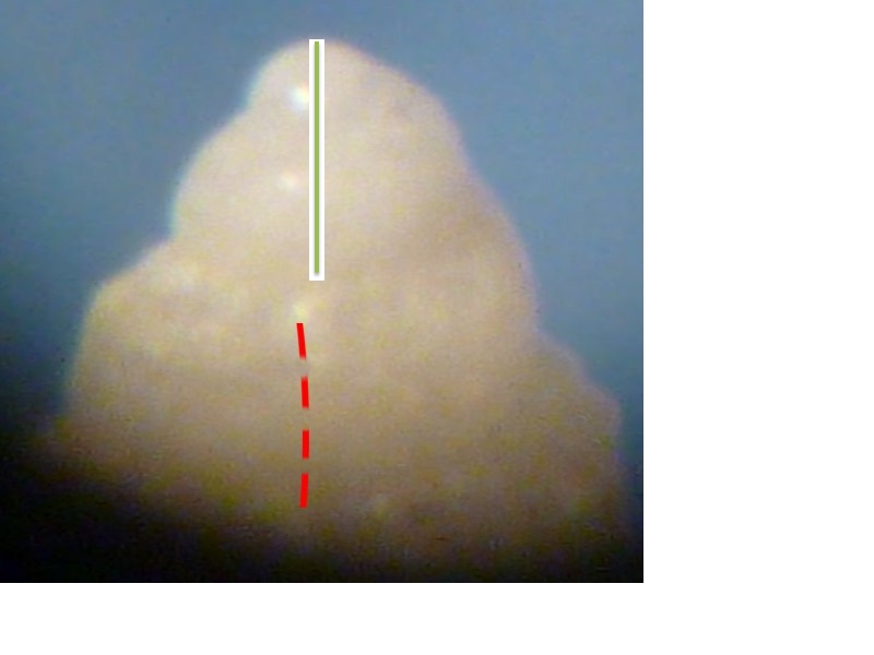 Alvania da determinare